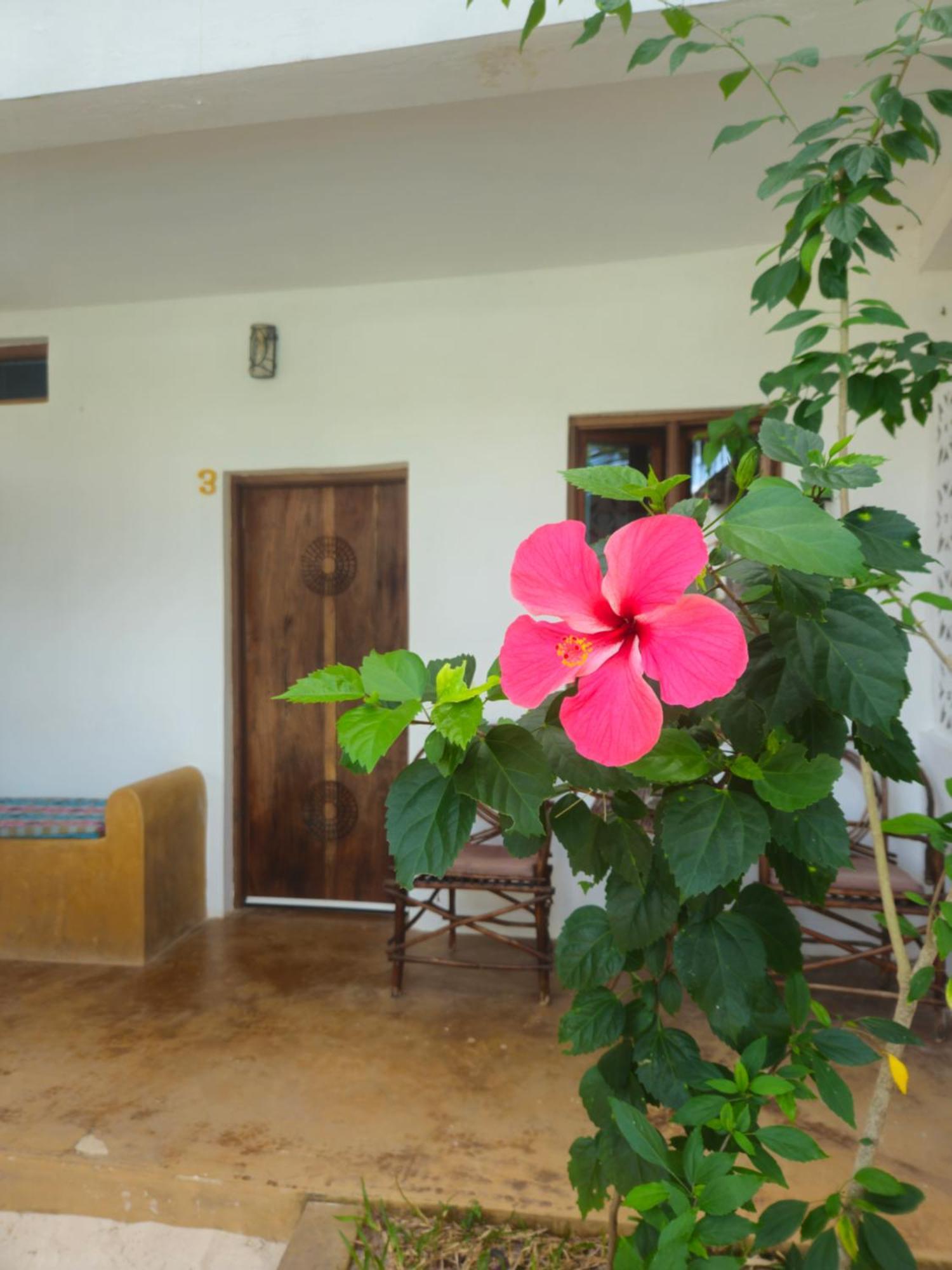 Kiganja Bed and Breakfast Matemwe  Εξωτερικό φωτογραφία